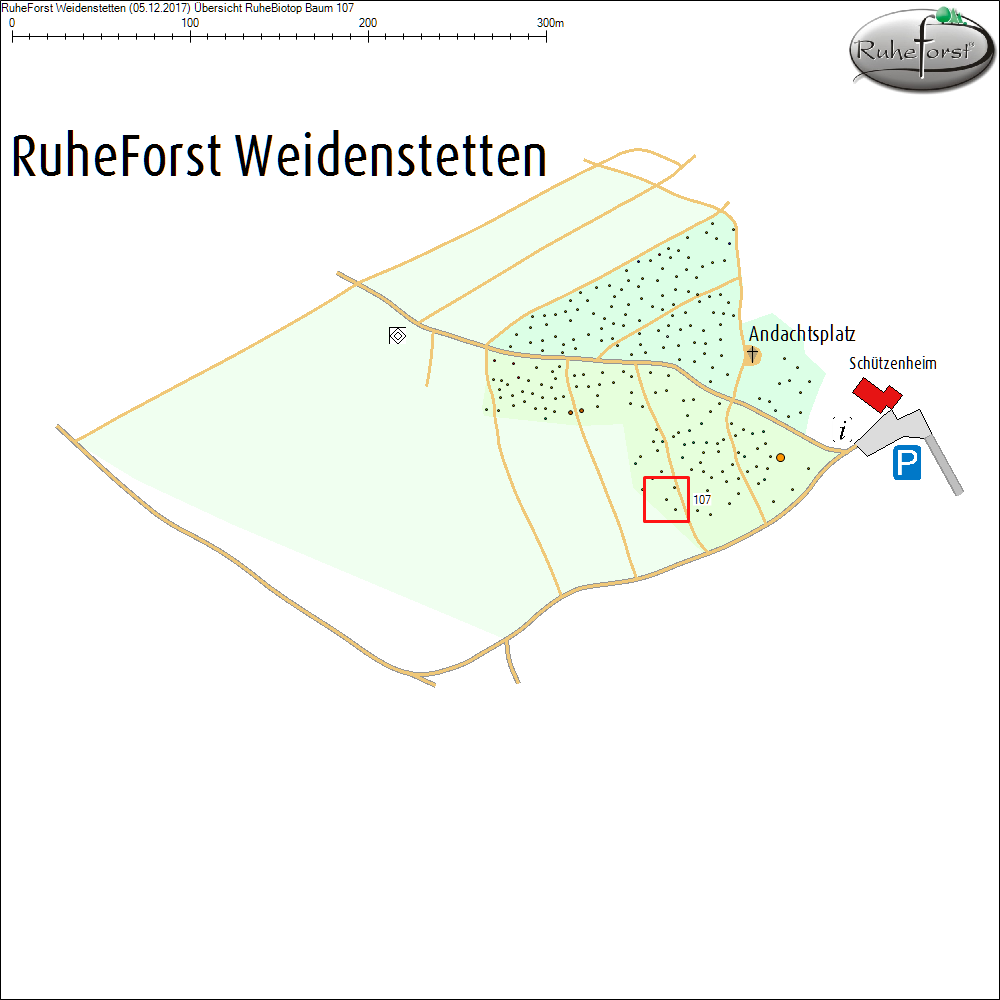 &Uuml;bersichtskarte zu Baum 107