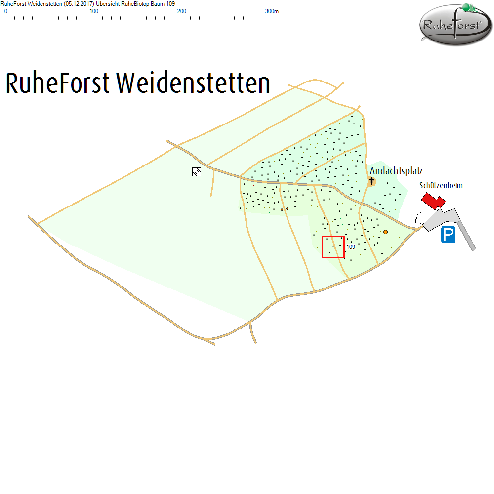 &Uuml;bersichtskarte zu Baum 109