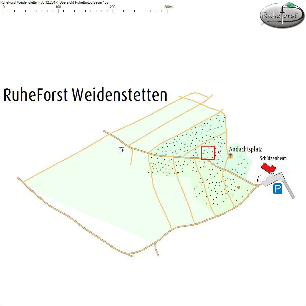 &Uuml;bersichtskarte zu Baum 158