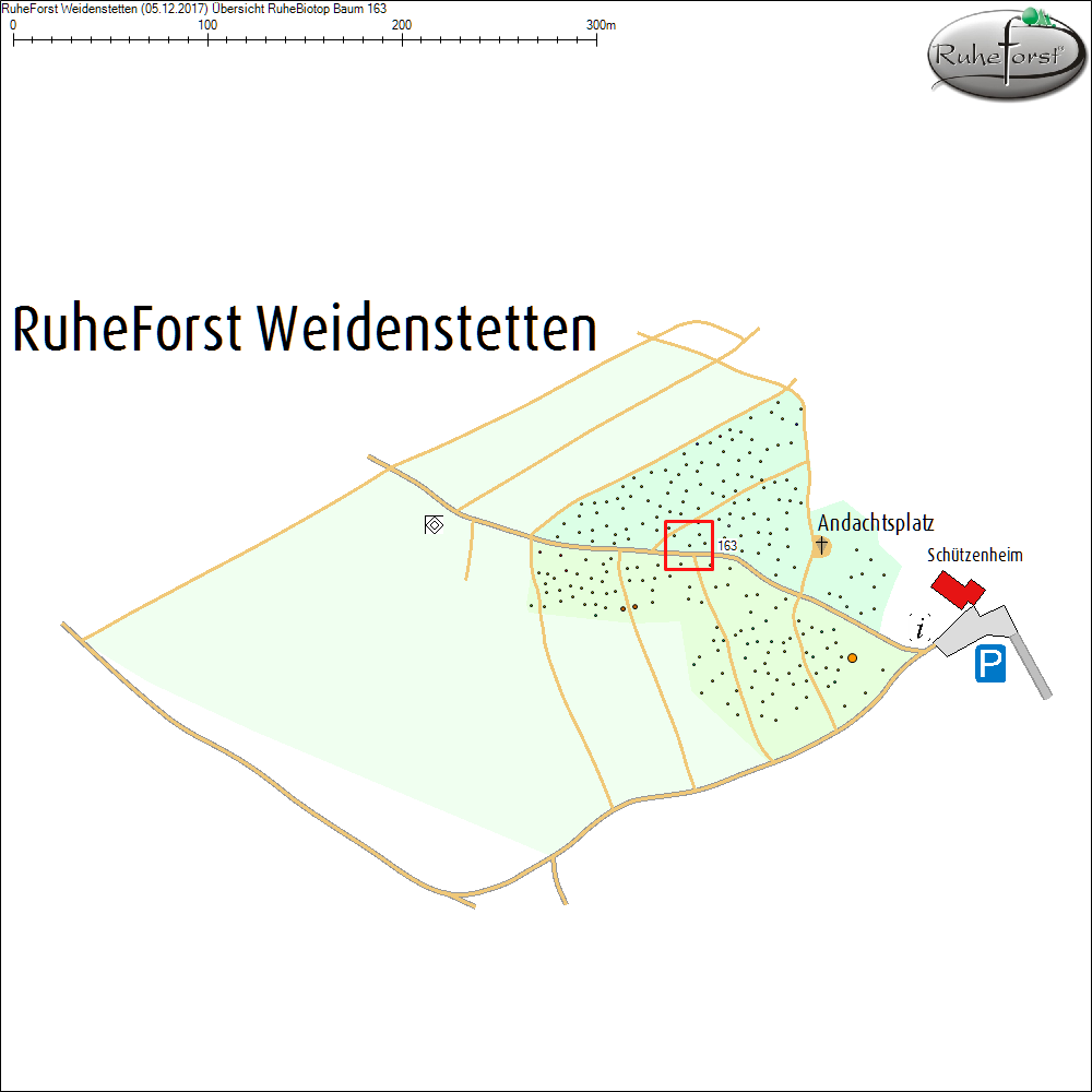 &Uuml;bersichtskarte zu Baum 163