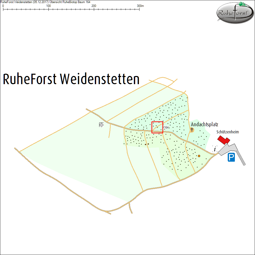 &Uuml;bersichtskarte zu Baum 164