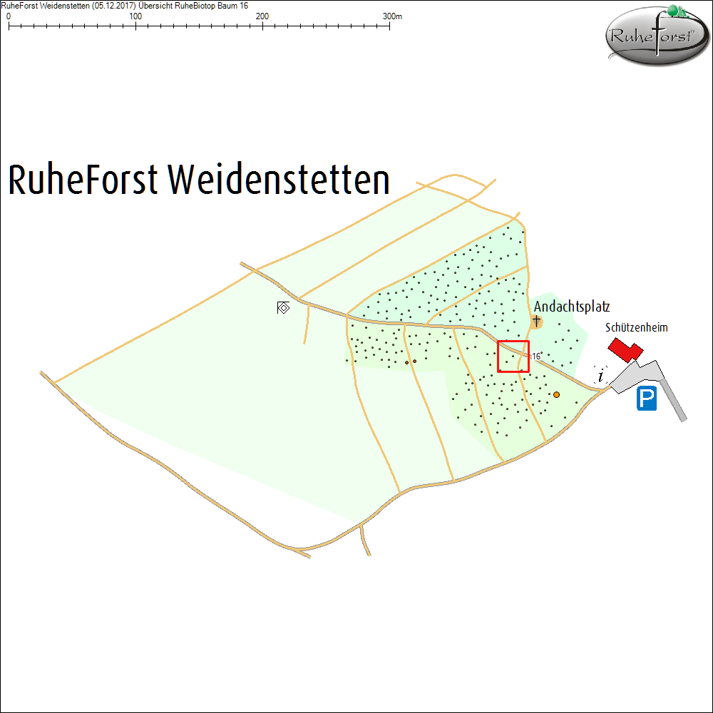 &Uuml;bersichtskarte zu Baum 16