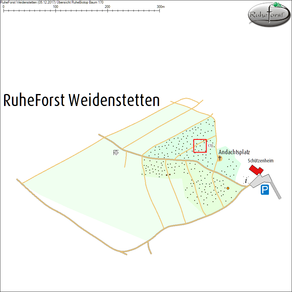 &Uuml;bersichtskarte zu Baum 170