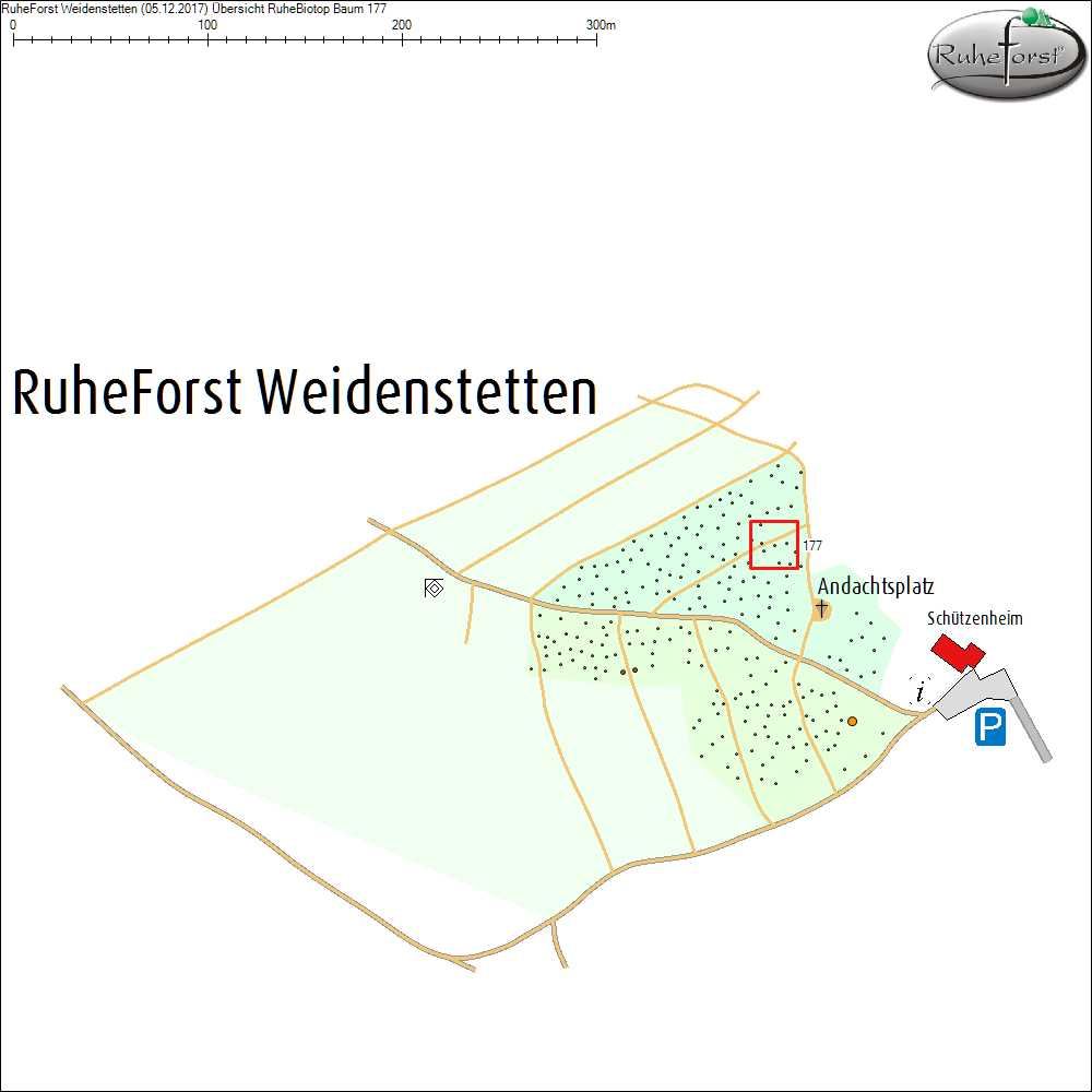 &Uuml;bersichtskarte zu Baum 177