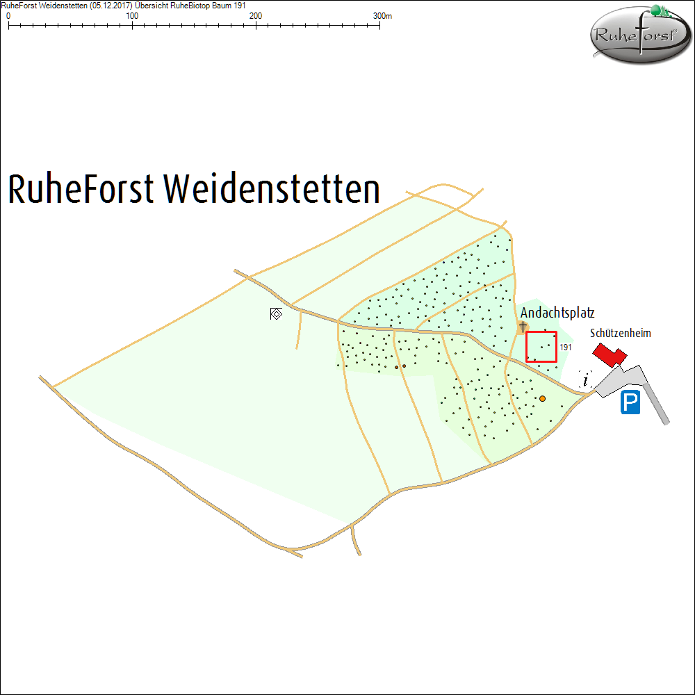 &Uuml;bersichtskarte zu Baum 191