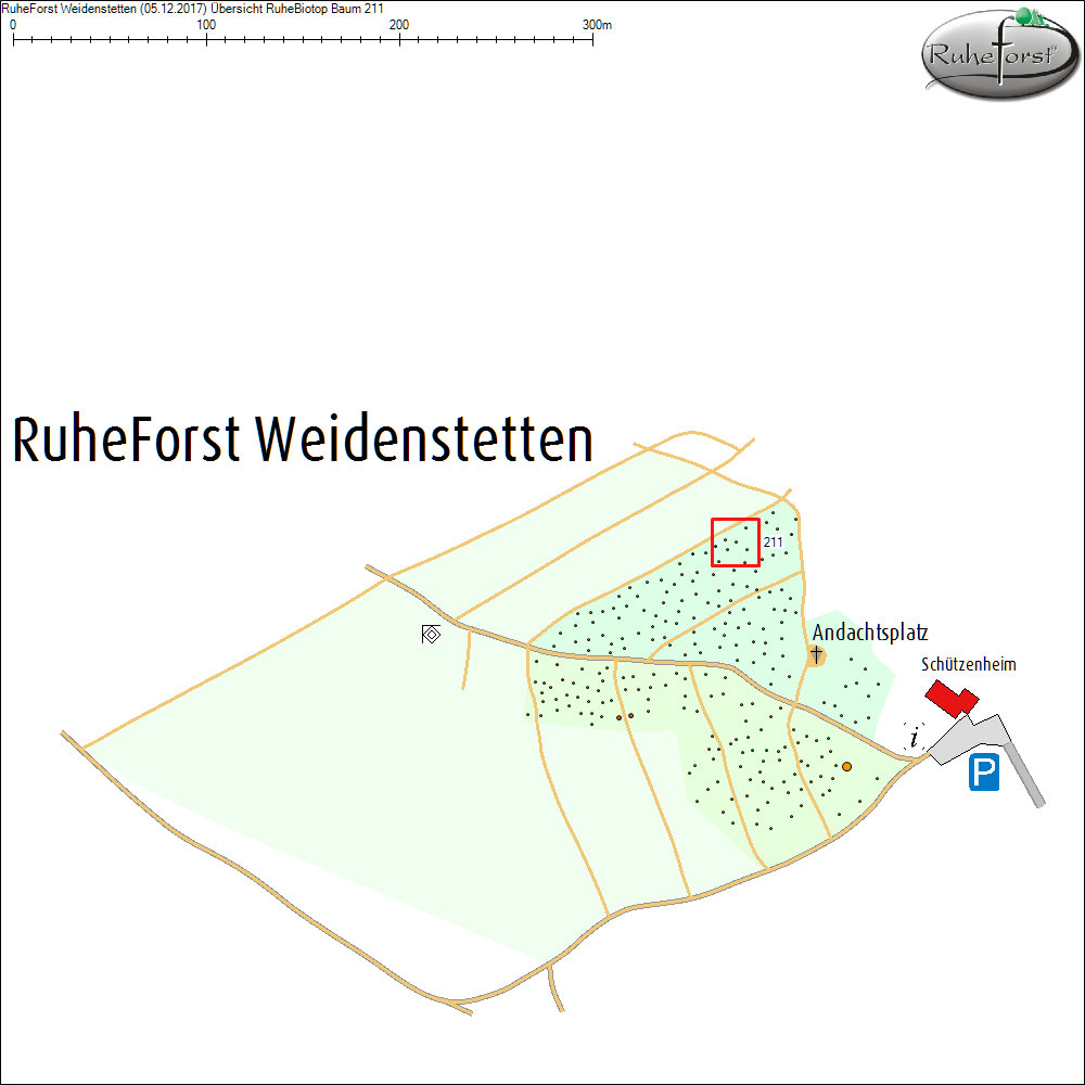 &Uuml;bersichtskarte zu Baum 211
