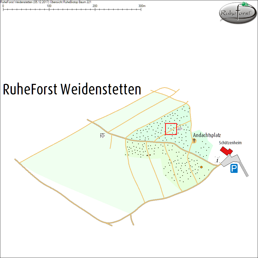 &Uuml;bersichtskarte zu Baum 221