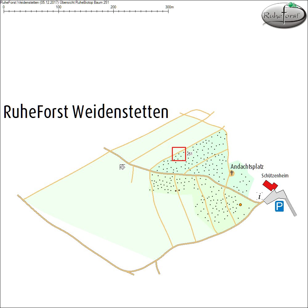 &Uuml;bersichtskarte zu Baum 251