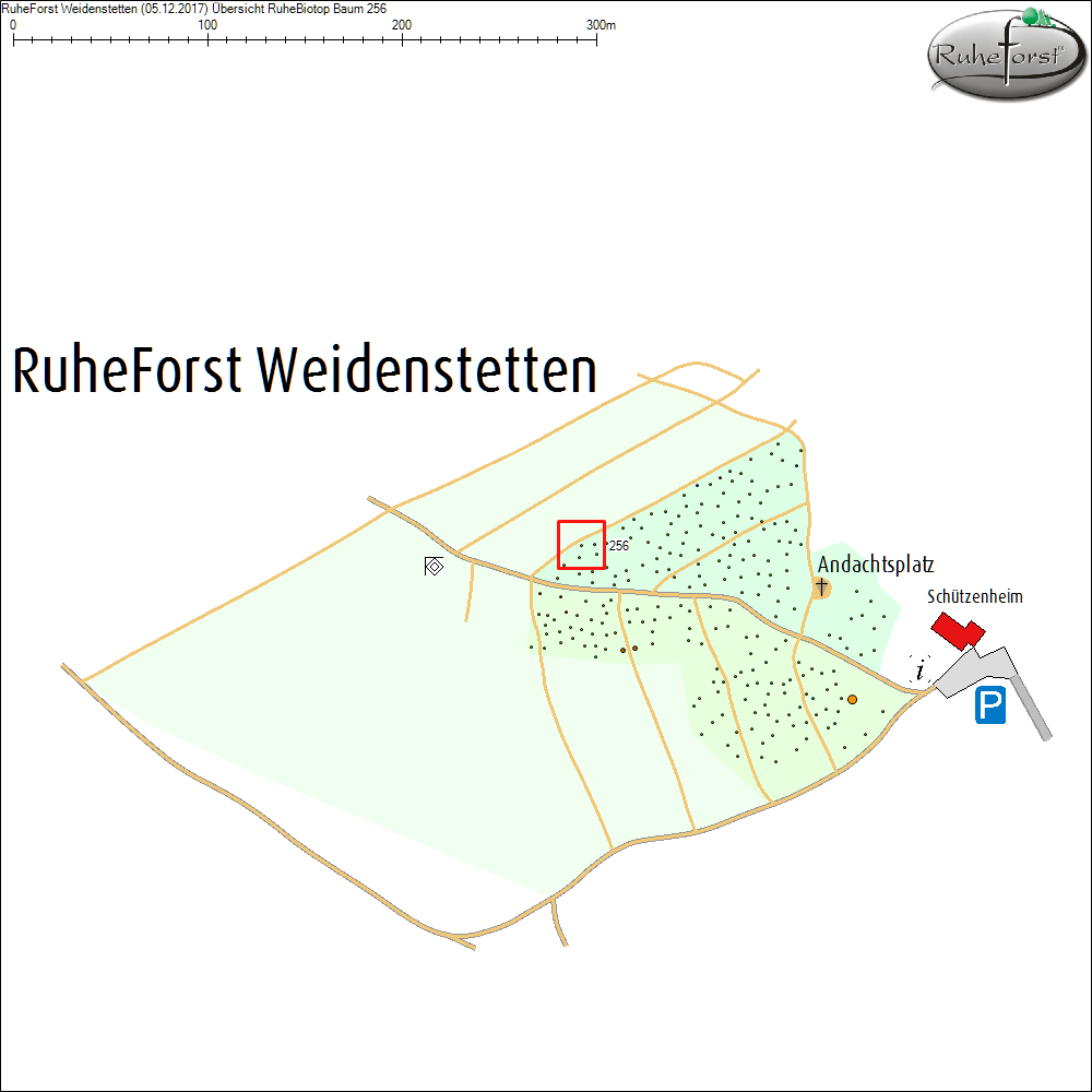 &Uuml;bersichtskarte zu Baum 256