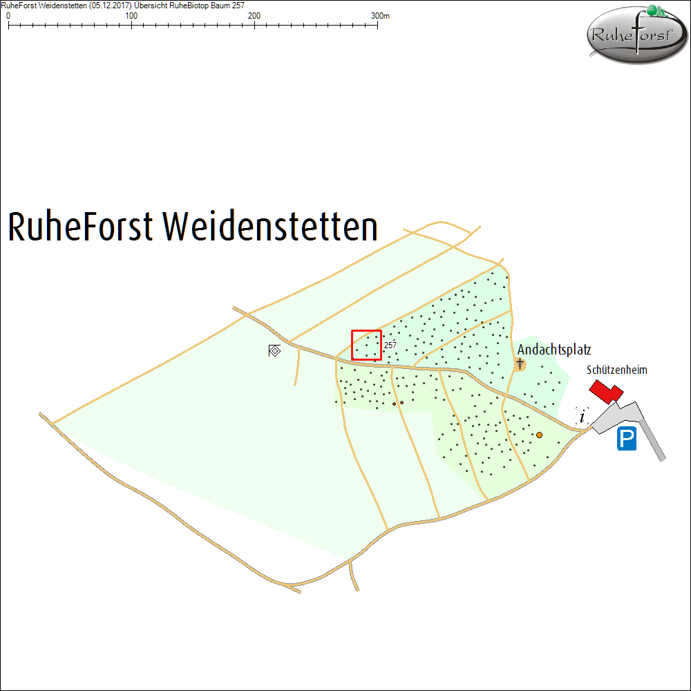 &Uuml;bersichtskarte zu Baum 257