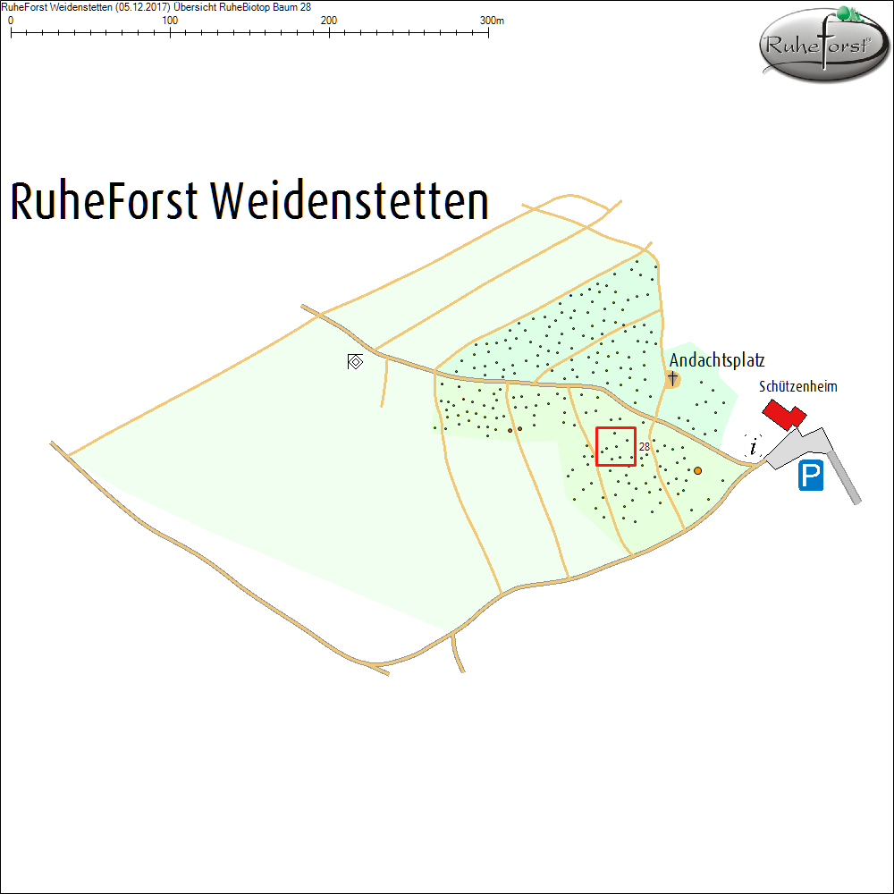 &Uuml;bersichtskarte zu Baum 28