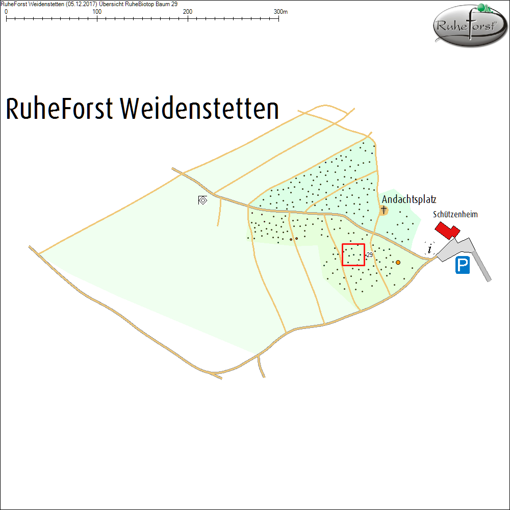 &Uuml;bersichtskarte zu Baum 29
