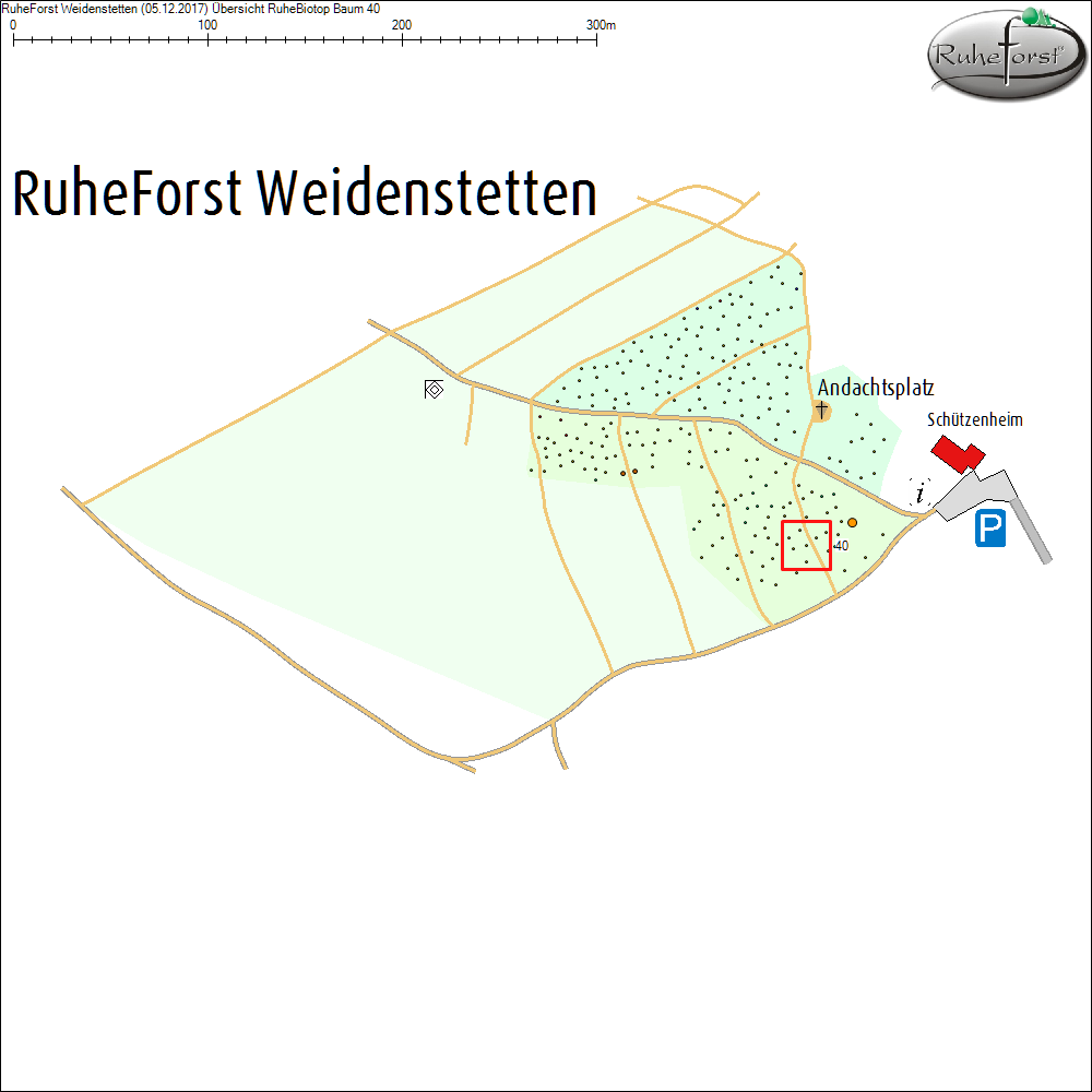 &Uuml;bersichtskarte zu Baum 40