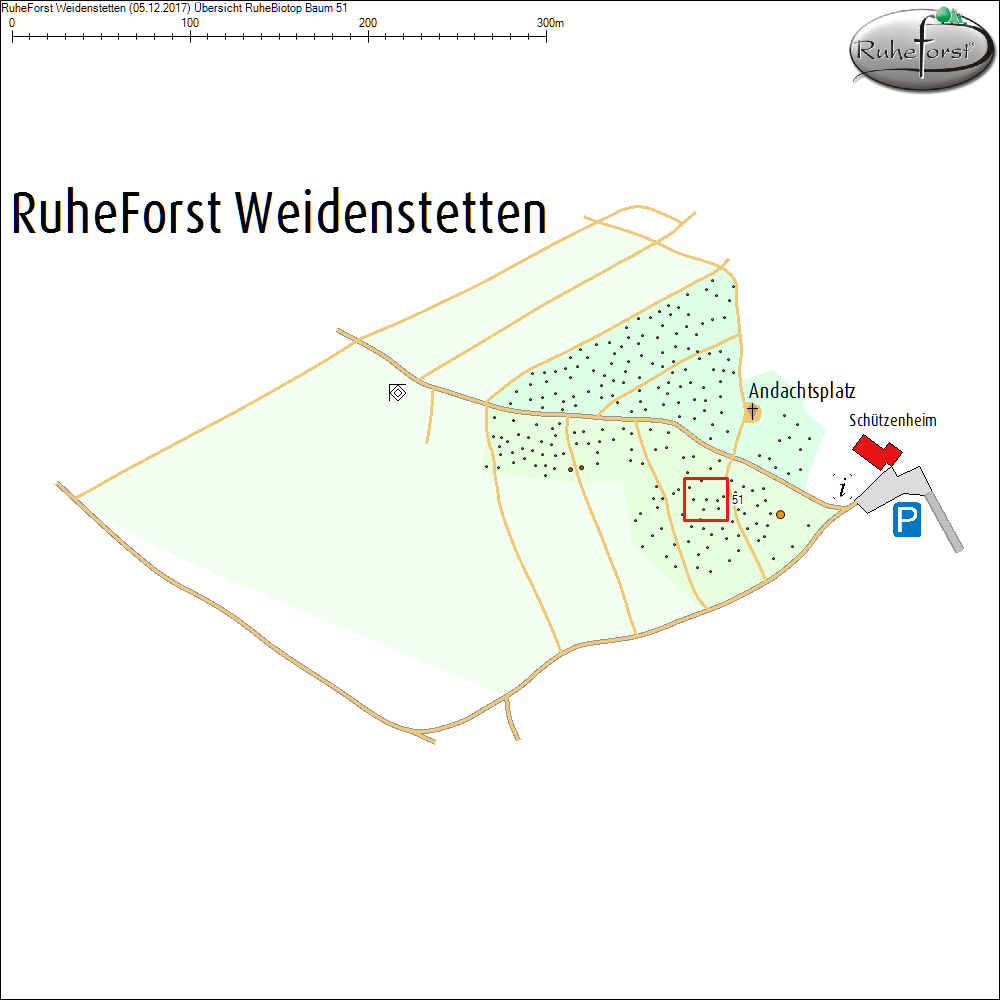 &Uuml;bersichtskarte zu Baum 51