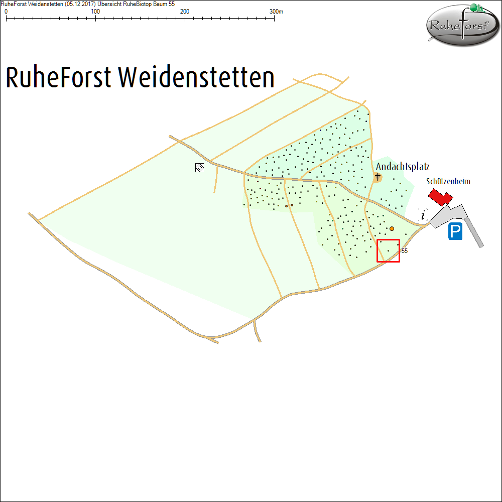 &Uuml;bersichtskarte zu Baum 55