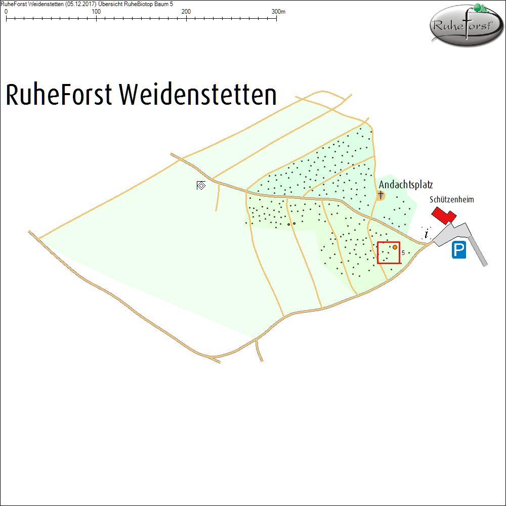 &Uuml;bersichtskarte zu Baum 5