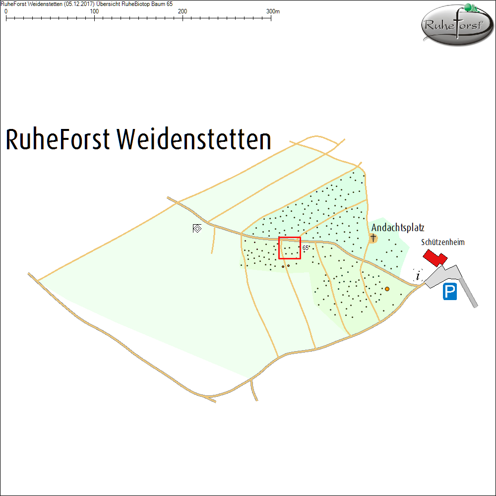 &Uuml;bersichtskarte zu Baum 65
