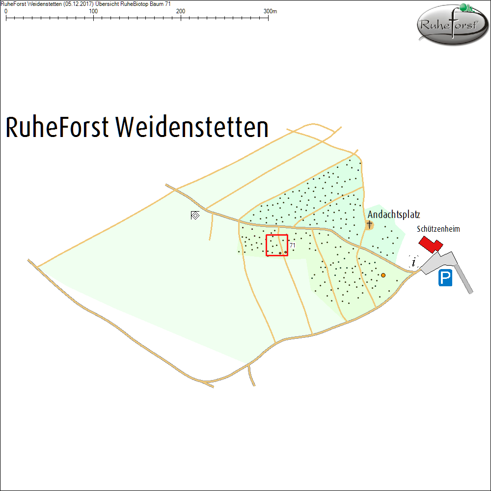 &Uuml;bersichtskarte zu Baum 71