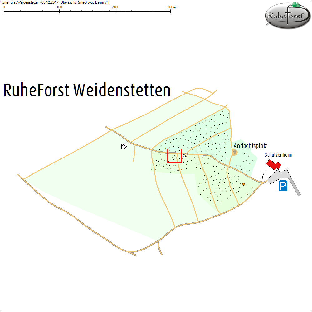 &Uuml;bersichtskarte zu Baum 74