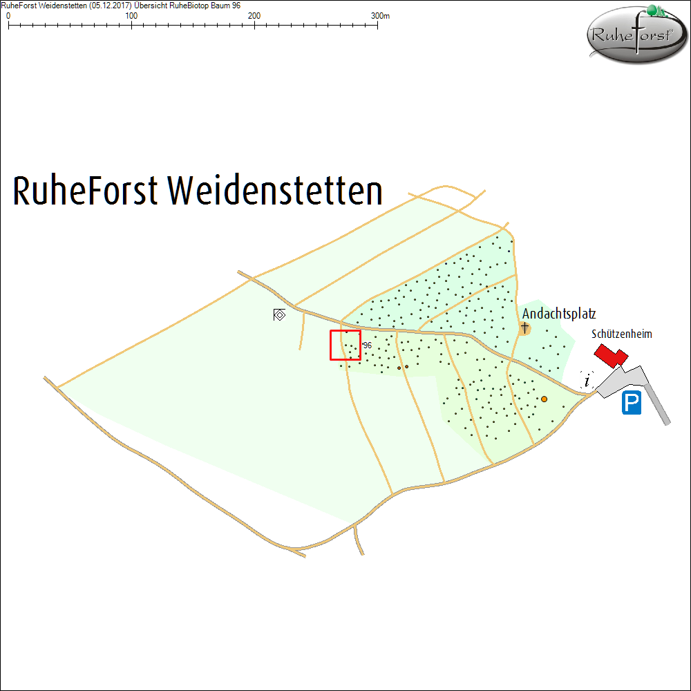 &Uuml;bersichtskarte zu Baum 96